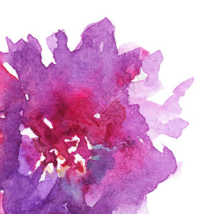 红岩魂红紫色粉红色花朵岗岩玫瑰康乃馨画插图插画