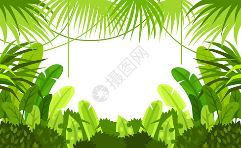 热带森林框架儿童设计矢图片