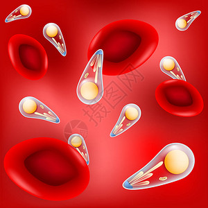 弓形虫引起疾病弓形虫病的致病细胞内寄生虫传染病爆发红色背景上的红细胞和病原体向量插图易于编辑背景图片
