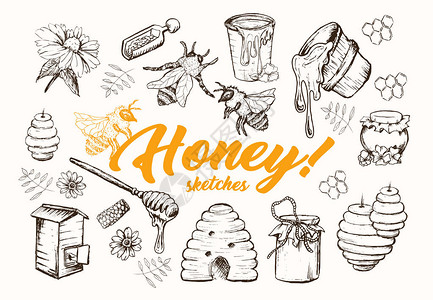 蜂蜜素描套装图片
