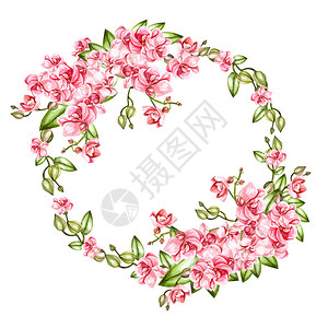 美丽明亮的水彩花环与兰花插图图片