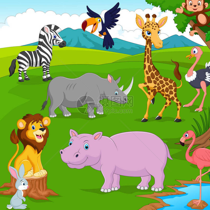 卡通丛林中的野生动物图片
