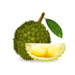 水果之王Durian在白色图片