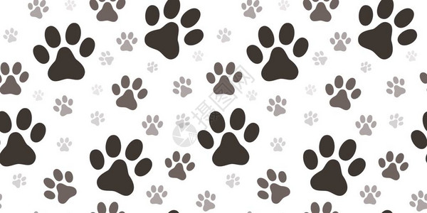 小猫脚印图片白色背景上的狗爪设计图片