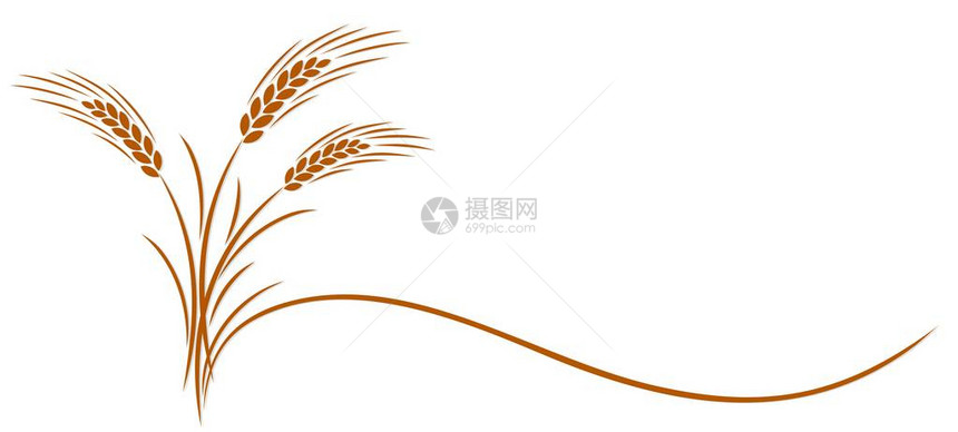 小麦金穗的象征图片
