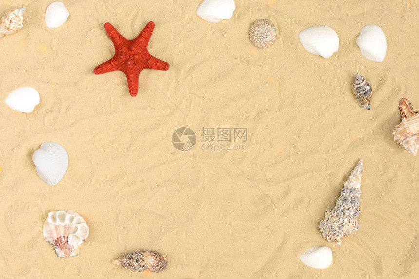 沙滩上躺着不同的贝壳和红海星在中心有一个的文本位置美图片