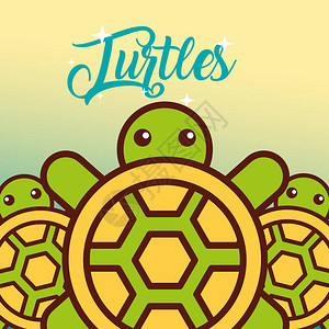 海龟生物漫画动物背景图片