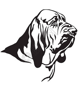 狗血犬剖面图示中的装饰肖像白底黑颜色的高清图片