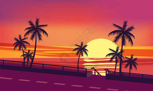 太阳落日海洋夜晚棕榈树图片