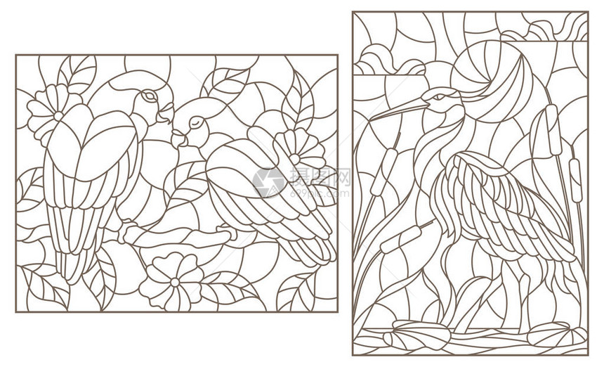一组鸟海隆和一对鹦鹉情鸟的轮廓插图图片