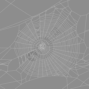 矢量背景蜘蛛网图片