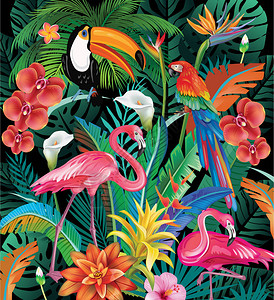 毛伊泰语热带花叶鸟的构成插画