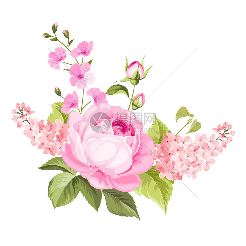 春花束彩花玫瑰花和紫花的标图片