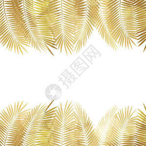 金棕榈叶矢量背景矢量说明图片