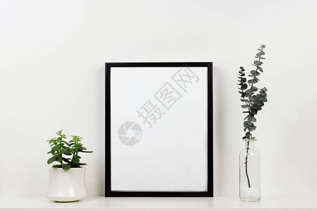 在架子或桌子上用植物和树枝模拟黑色框架图片