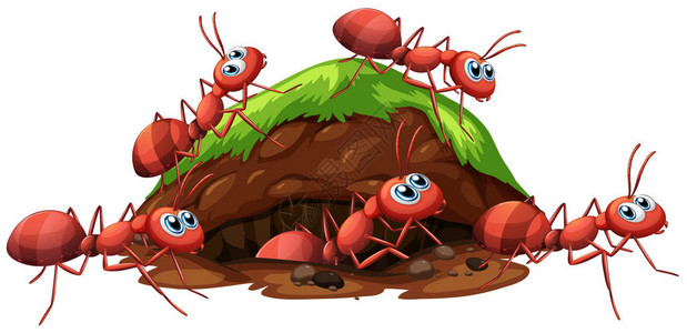 蚂蚁出洞红蚂蚁和孔插图插画