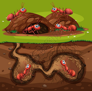 蚂蚁出洞孔插图中工作组A插画
