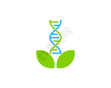 叶子DNA日志图片