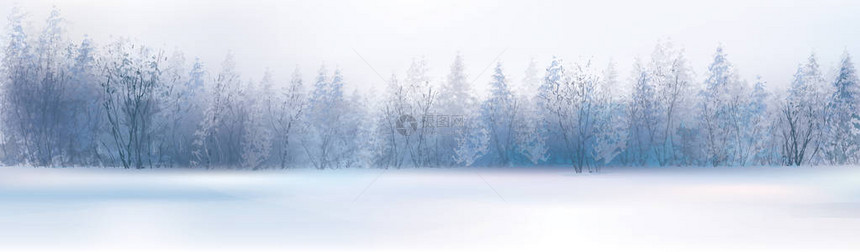 冬季景观与森林背景图片