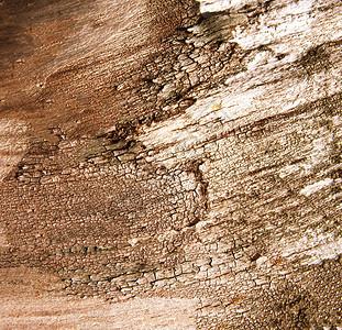 抽象的棕色木背景高清图片