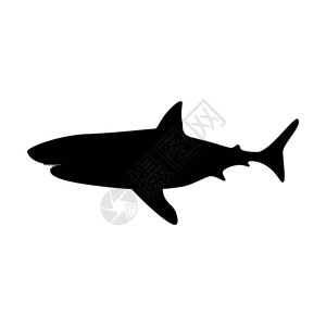 白色背景上的鲨鱼光影矢量图片