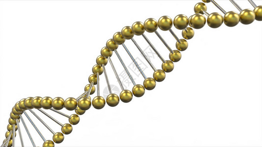 金色DNA链图片