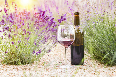 薰苍术地上的红酒瓶和酒杯瓶酒反对薰衣草景观法国普罗旺斯夏季薰插画