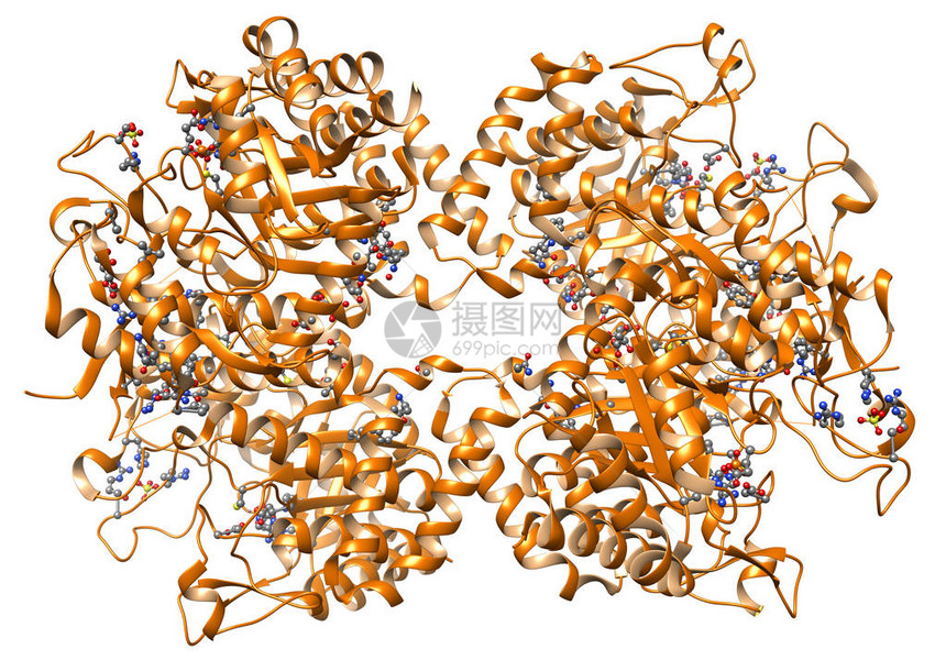 有机化学蛋白质分子的模型生图片