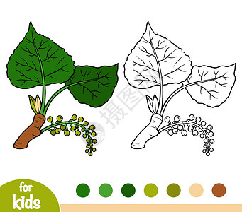儿童图画书黑杨树枝背景图片
