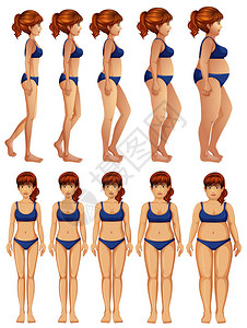 女身体变形图的正面和侧面图片