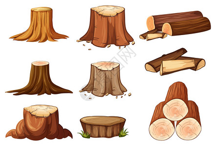 一套树桩和木材插图图片