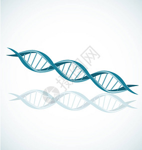 DNA链双螺旋图标矢量集设计插图背景图片