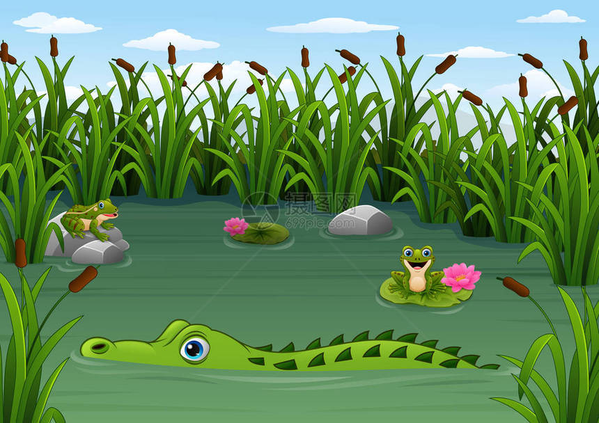 卡通鳄鱼和池塘里的青蛙图片