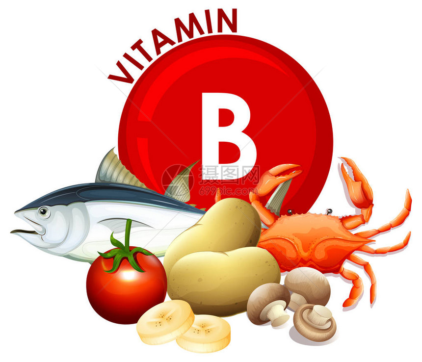 一套维生素B食品插图图片