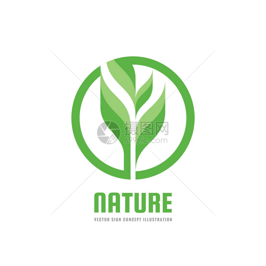 绿色自然概念图新芽和叶子矢量创意标志有机标志农业符图片