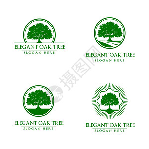 绿橡树矢量标志设计图片
