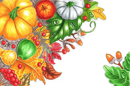 用树叶水果和蔬菜的秋天收成用标记图片