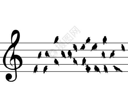 与鸟剪影的抽象乐谱图片