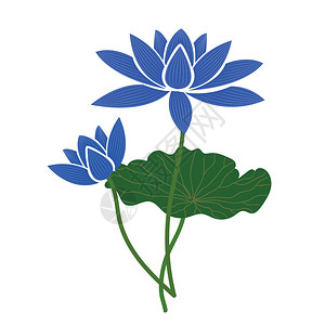 自然花蓝莲植物树背景图片