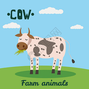 CooteCaw农场动物品农业动物实地图片
