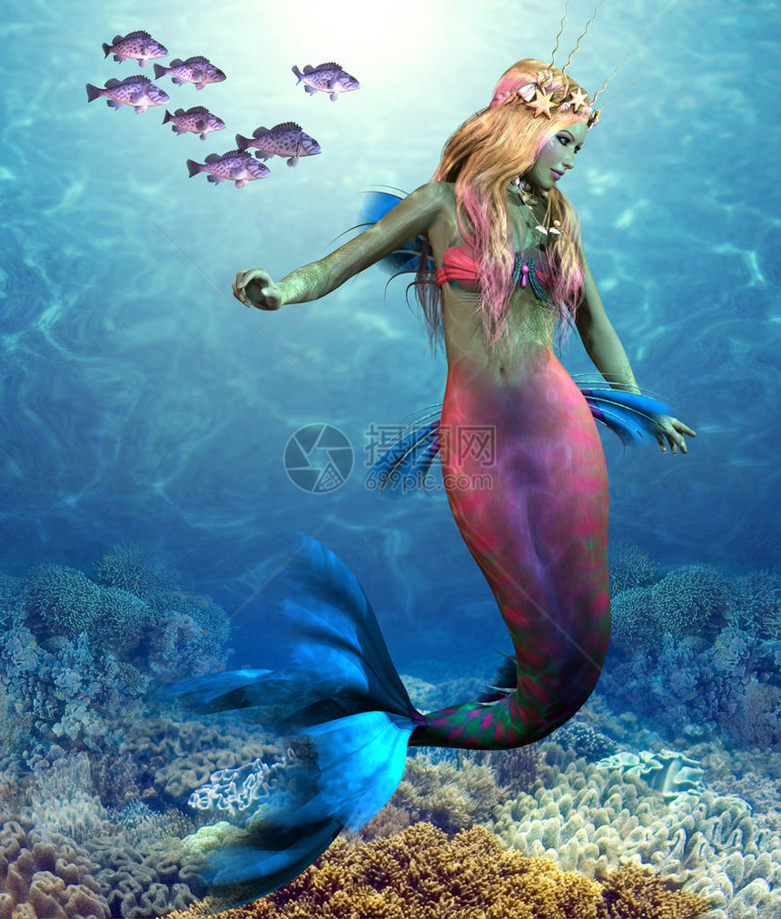 蓝岩鱼的一所学校在美丽的美人鱼旁边游泳她图片