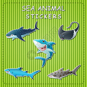 虎鲨贴标签上可爱漫画海动插画