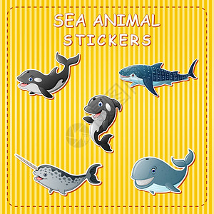 抹香鲸贴标签上可爱漫画海动插画