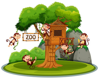 动物园树屋里的猴子插图图片