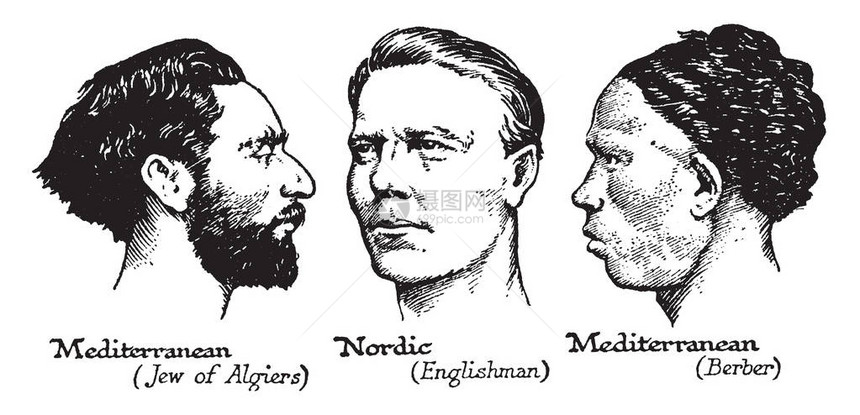 两个地中海和北欧人的脸古老的线条图图片