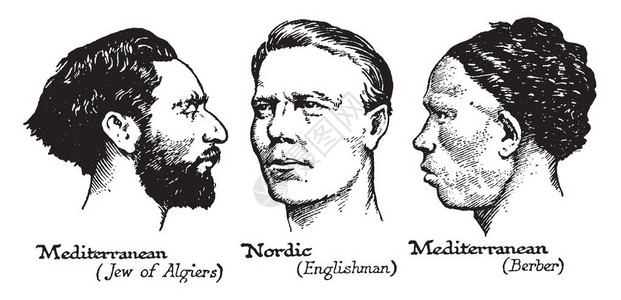 两个地中海和北欧人的脸古老的线条图背景图片
