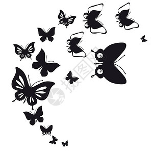 在白色背景上隔离的蝴蝶背景图片