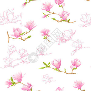 枝上玉兰无缝模式与粉红色的玉兰花矢量图在白色背景上隔离彩插画