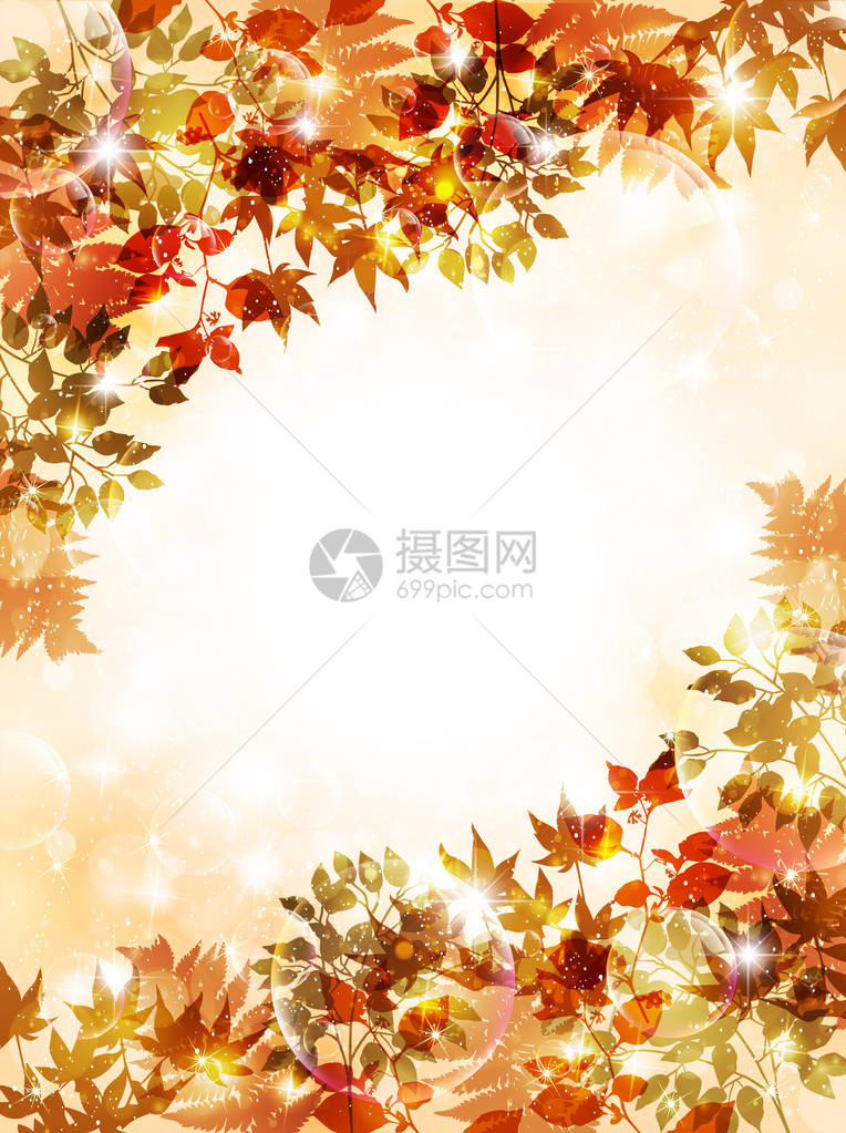 秋叶枫秋背景图片