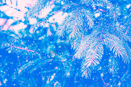 冷若冰霜抽象模糊的冬天背景雪地里的树插画